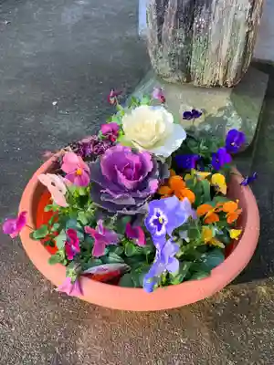 千代ケ岡八幡宮(栃木県)