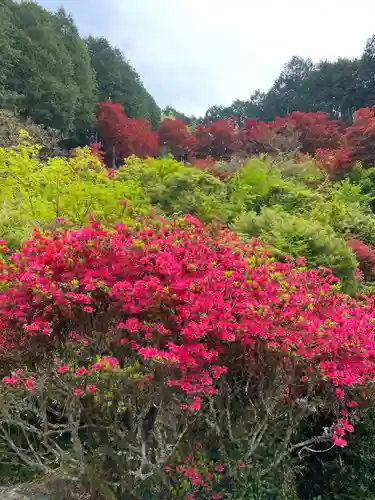 達身寺の景色