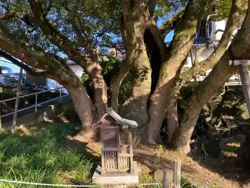 大智院（清水寺大智院）の自然