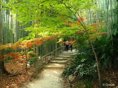 教林坊(滋賀県)