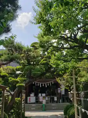 鳩森八幡神社の本殿・本堂