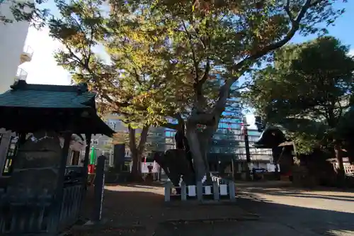 阿邪訶根神社の景色