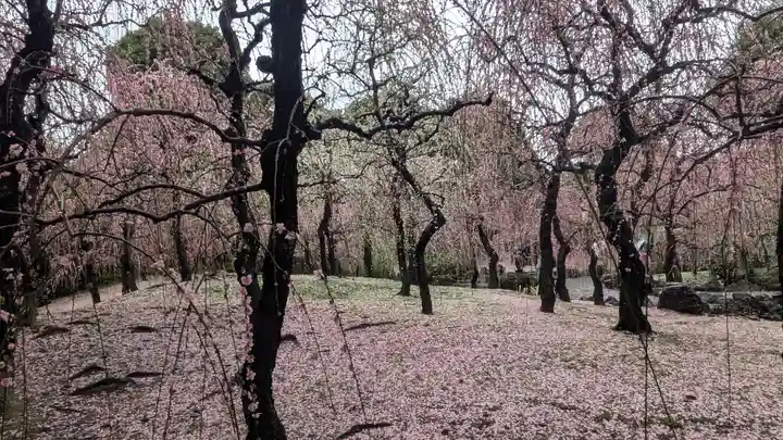 城南宮(京都府)