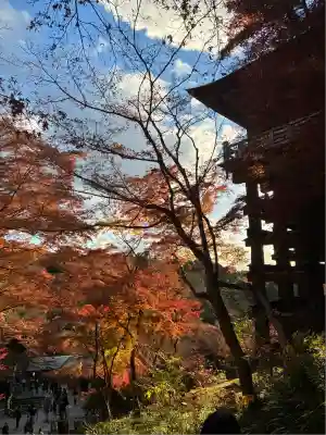 清水寺(京都府)