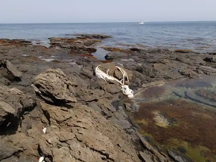 胡禄神社の周辺