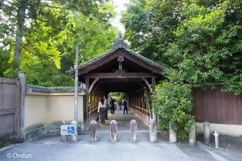 東福禅寺（東福寺）(京都府)