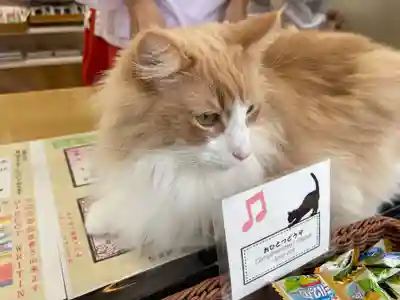 駒込妙義神社(東京都)