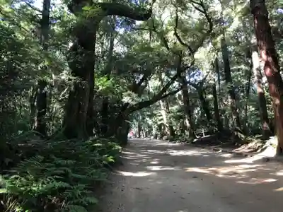 奥宮(鹿島神宮摂社)(茨城県)