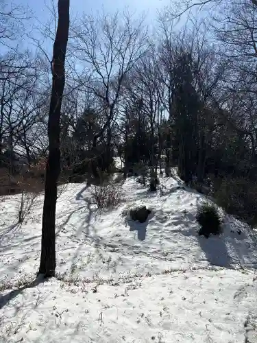 四津山神社の{uncategorized: "未分類", other: "その他", undefined: "問題あり", building: "その他建物", grave: "お墓", sacred_gate: "鳥居", guardian: "狛犬", statue: "像", buddha: "仏像", history: "歴史", nature: "自然", garden: "庭園", animal: "動物", pagoda: "塔", temizu: "手水舎", mountain_gate: "山門・神門", sanctuary: "本殿・本堂", subordinate: "末社・摂社", art: "芸術", scenery: "景色", jizo: "地蔵", ema: "絵馬", goshuin: "御朱印", omikuji: "おみくじ", items: "授与品その他", amulet: "お守り", goshuincho: "御朱印帳", eats: "食事", festival: "お祭り", votive_dance: "神楽", shichigosan: "七五三参", wedding: "結婚式", experience: "体験その他", initially: "初詣", around: "周辺", anti_infection: "感染症対策"}