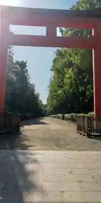 井草八幡宮(東京都)