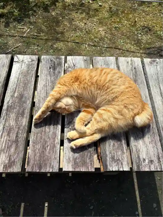 小松寺(千葉県)