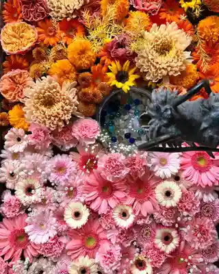 札幌諏訪神社の手水舎