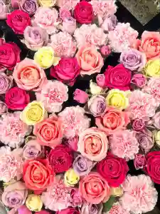 金峯神社(新潟県)(2025年05月31日(土) 09時54分11秒投稿)