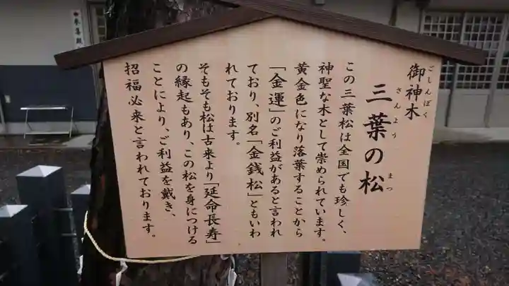 別小江神社の歴史