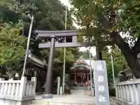 柏諏訪神社(千葉県)