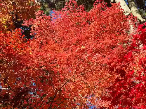 白山神社(滋賀県)