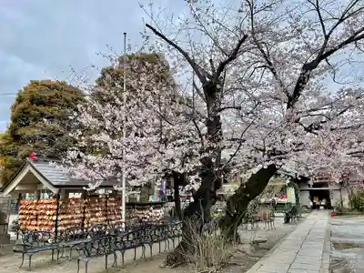 今戸神社(東京都)