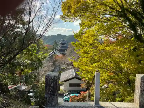 金峯山寺の景色