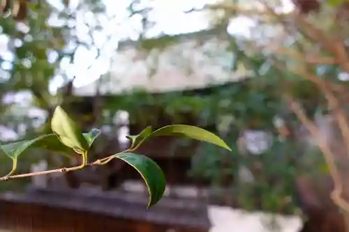 新熊野神社のその他建物