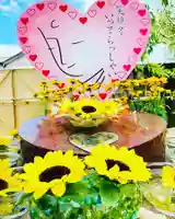 四季桜の寺 妙乗院のお祭り