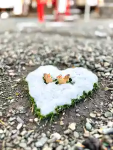 伊達神社(北海道)(2025年11月22日(土) 08時44分00秒投稿)