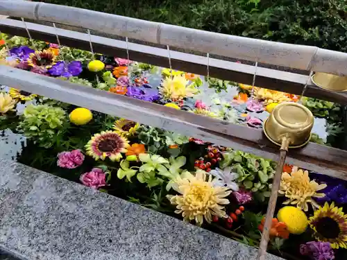 豊景神社の手水