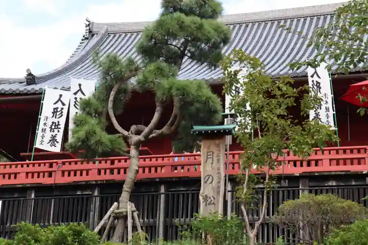 清水観音堂の本殿・本堂