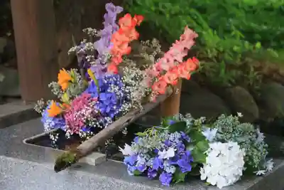 高司神社〜むすびの神の鎮まる社〜の手水舎