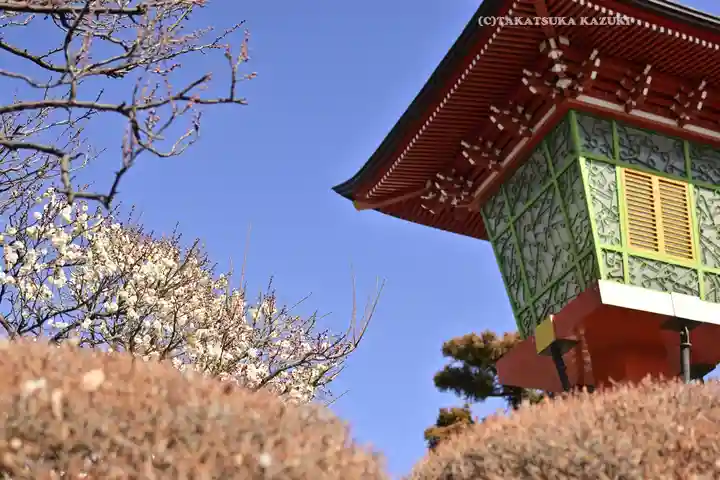 東伏見稲荷神社(東京都)