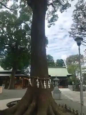 星川杉山神社のその他建物