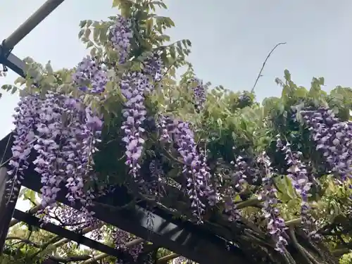 祐天寺の庭園