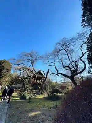光丸山 法輪寺(栃木県)
