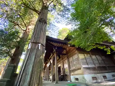 藪原神社のその他建物