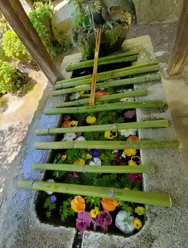 岩角山 岩角寺の手水舎