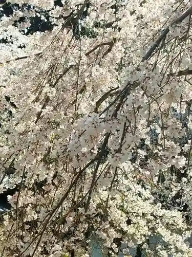 醍醐寺(京都府)