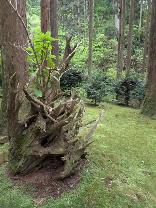御岩神社(茨城県)