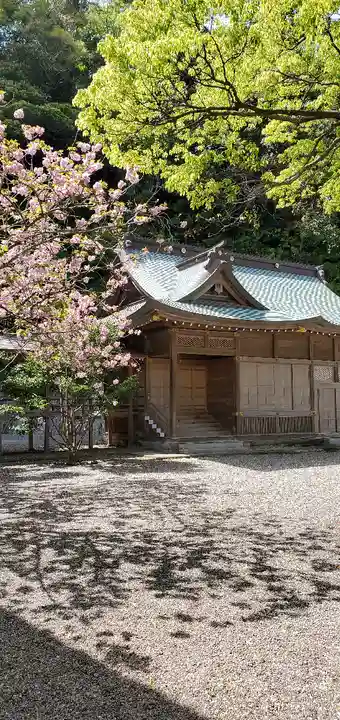 安房神社(千葉県)