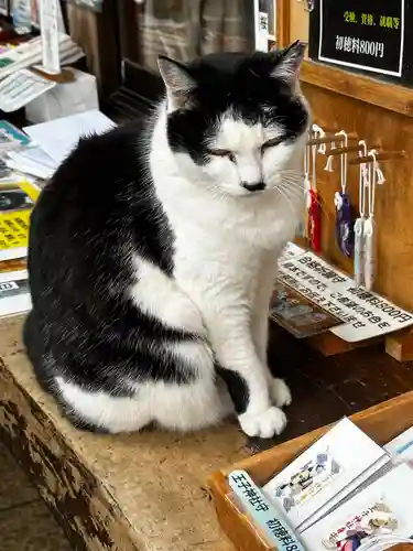 王子神社(徳島県)