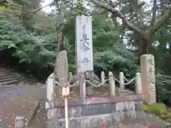 長命寺の建物その他