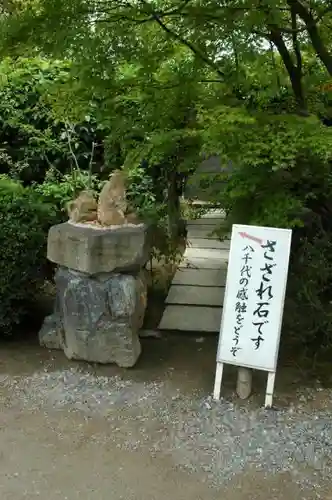 勧修寺の自然