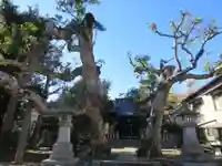 八坂大神の景色