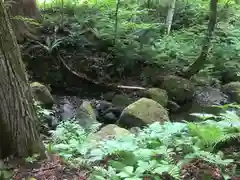 戸隠神社奥社(長野県)