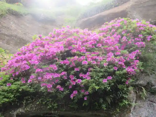 海蔵寺(神奈川県)