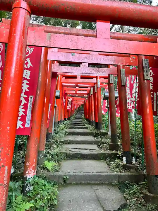 佐助稲荷神社の鳥居