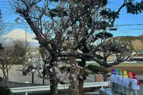 光明寺(静岡県)