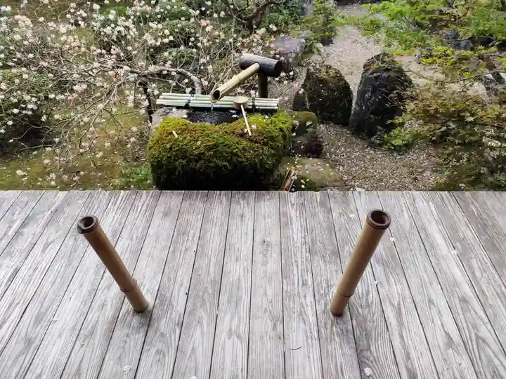 宝泉院(京都府)