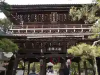 智恩寺の山門・神門