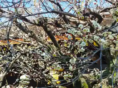 北野天満宮(京都府)