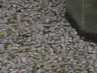 鶴岡八幡宮(神奈川県)