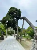 白山神社(新潟県)